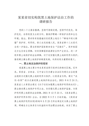 某某省切实构筑黑土地保护法治工作的调研报告.docx