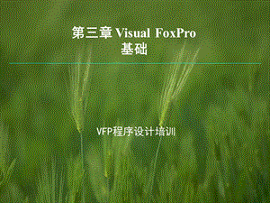 VisualFoxPro基础 (2).ppt