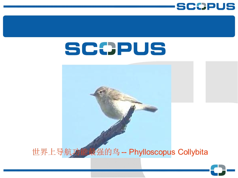 Scopus演示及使用指南.ppt_第3页