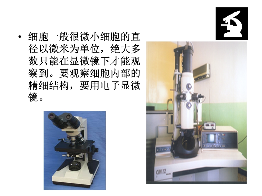 《细胞的结构》全章课件(上课).ppt_第3页