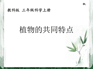 《植物的共同特点》教学.ppt