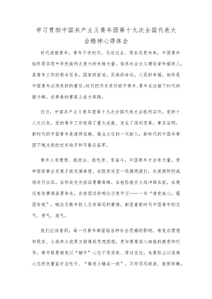 学习贯彻中国共产主义青年团第十九次全国代表大会精神心得体会.docx