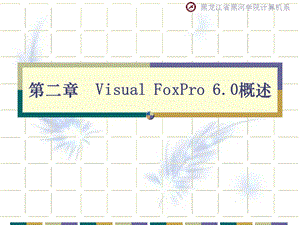 VisualFoxPro6.0概述.ppt