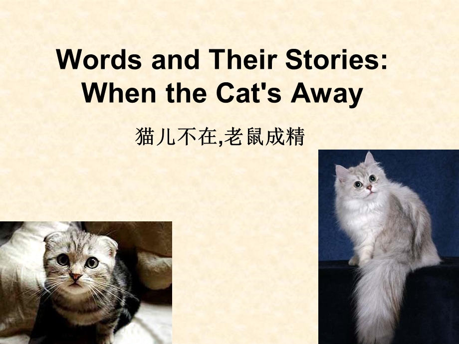 VOA词语典故catmou.ppt_第1页