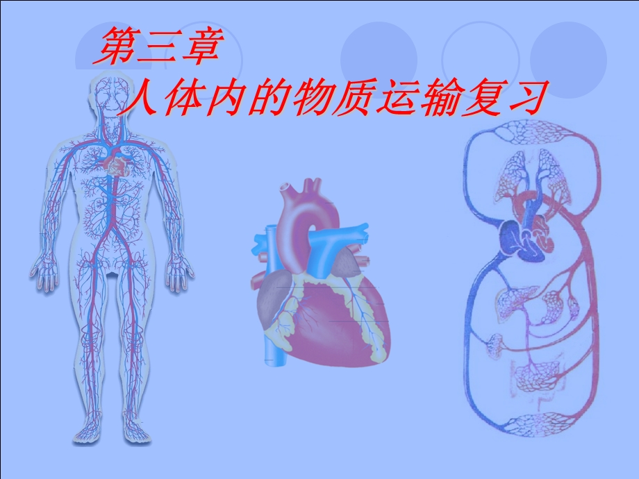 《人体内的物质运输》复习.ppt_第1页