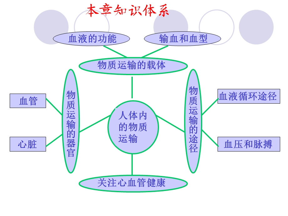 《人体内的物质运输》复习.ppt_第3页