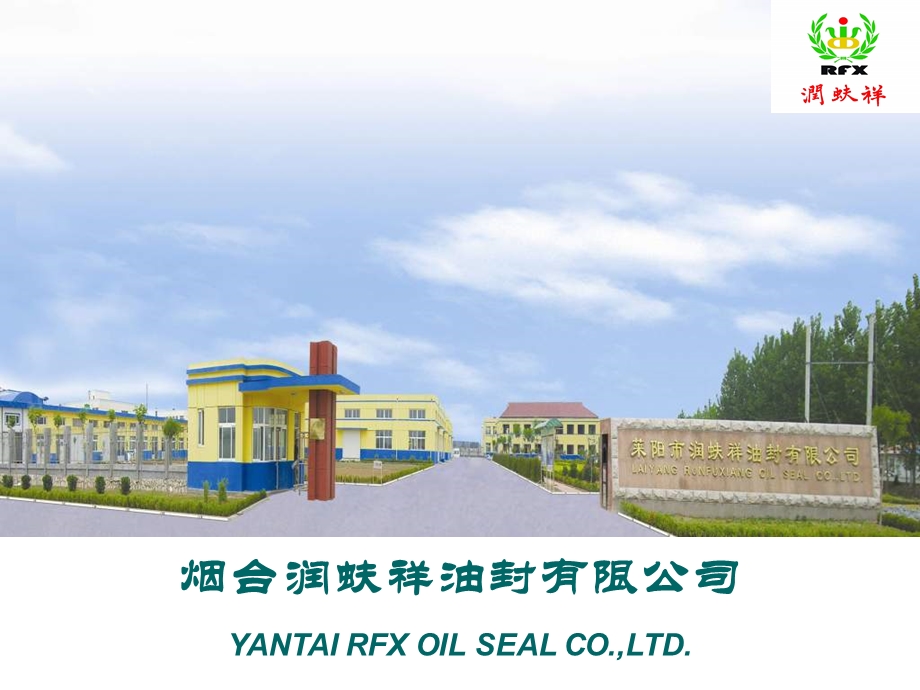 RFX公司介绍CompanyProfile(减震器油封).ppt_第2页