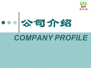 RFX公司介绍CompanyProfile(减震器油封).ppt