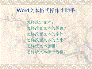 Word文本格式操作小助手.ppt