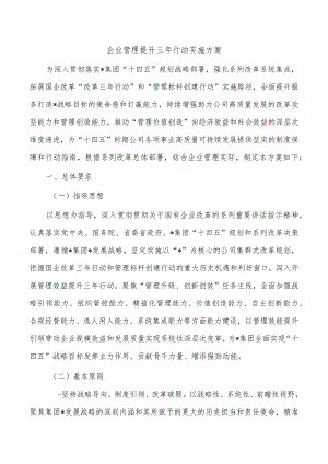 企业管理提升三年行动实施方案.docx