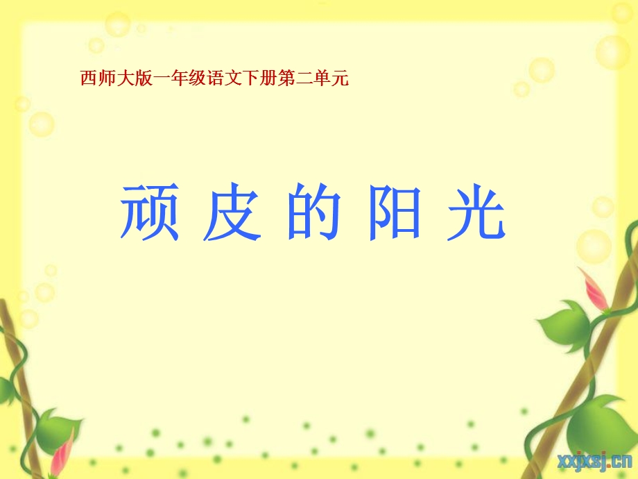 《顽皮的阳光》课件(西师大版小学语文一年级下册课件).ppt_第1页