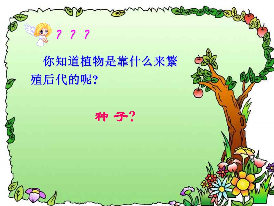 《植物的主要类群》课件.ppt_第2页