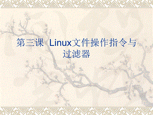 T3-Linux文件操作指令与过滤器.ppt