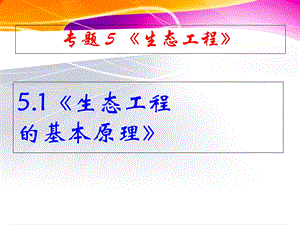 《生态工程的基本原理》课件新人教版.ppt