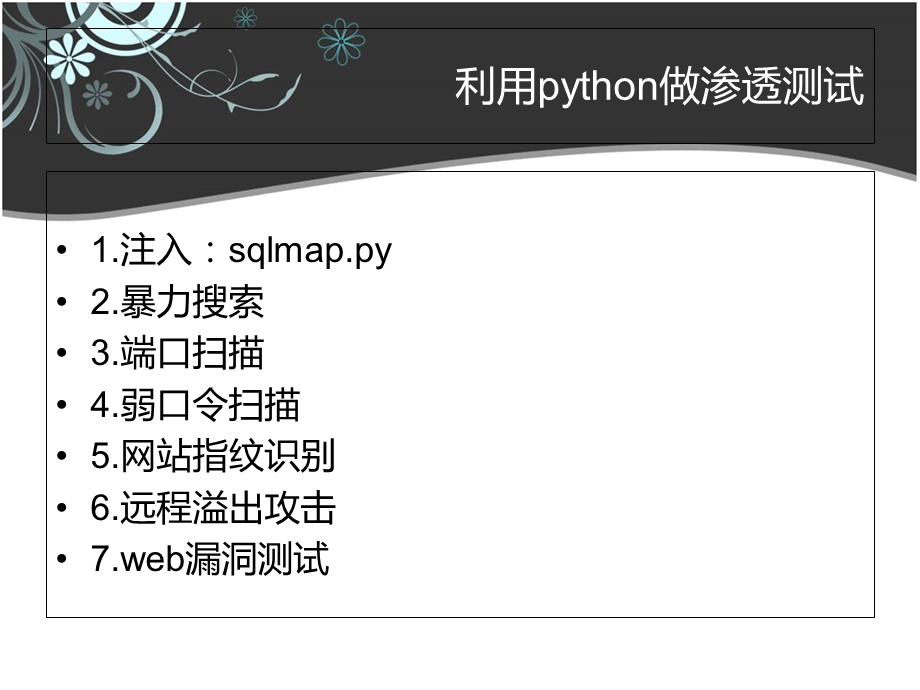 Python程序员的渗透测试之道.ppt_第3页