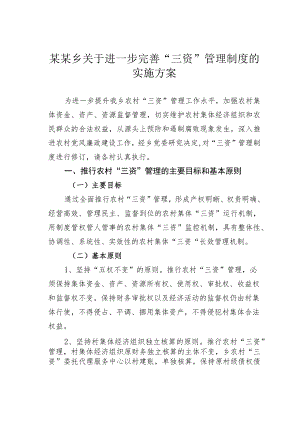 某某乡关于进一步完善“三资”管理制度的实施方案.docx