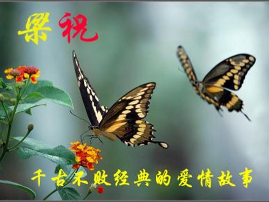 《孔雀东南飞》(用).ppt_第1页