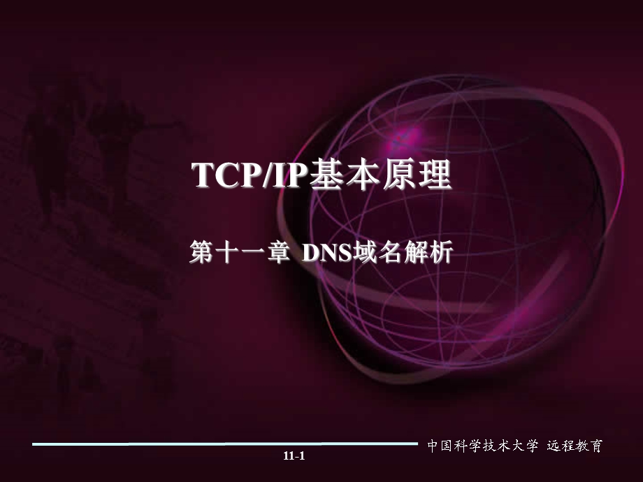 TCPIP基本原理第十一章DNS域名解析.ppt_第1页