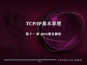 TCPIP基本原理第十一章DNS域名解析.ppt