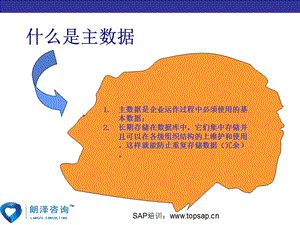 SAP培训项目-物料管理课程.ppt