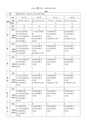 篮球队月周训练计划表模版.docx