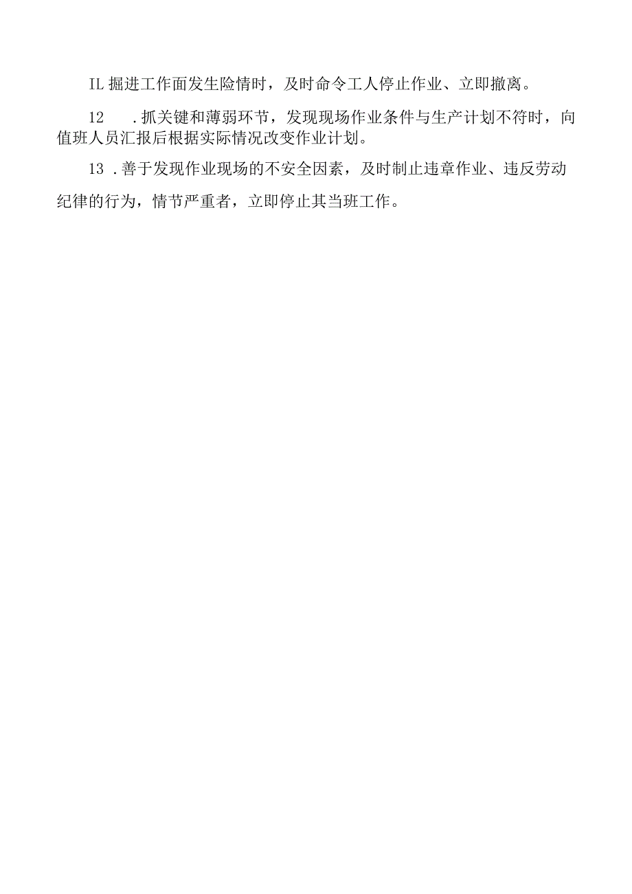 综掘队尖刀班安全生产责任制.docx_第2页