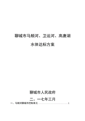 聊城市马颊河、卫运河、高唐湖水体达标方案.docx