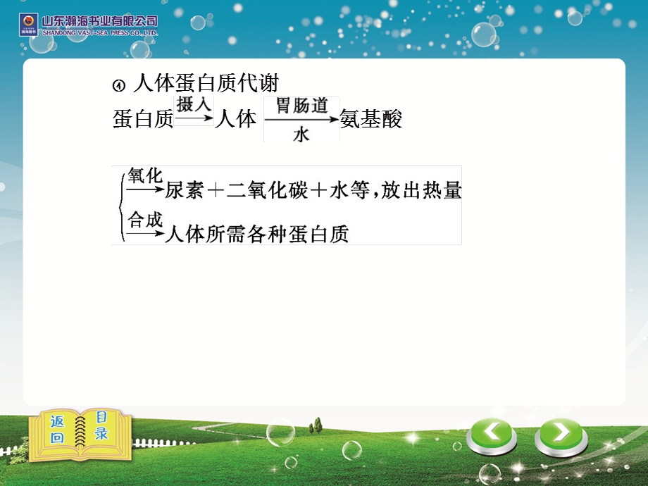 中考化学专题六化学与社会发展.ppt_第3页