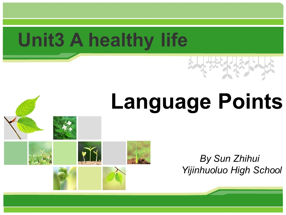 人教新课标高二英语选修六Unit3AhealthylifeLanguagePoints三疑三探.ppt_第1页