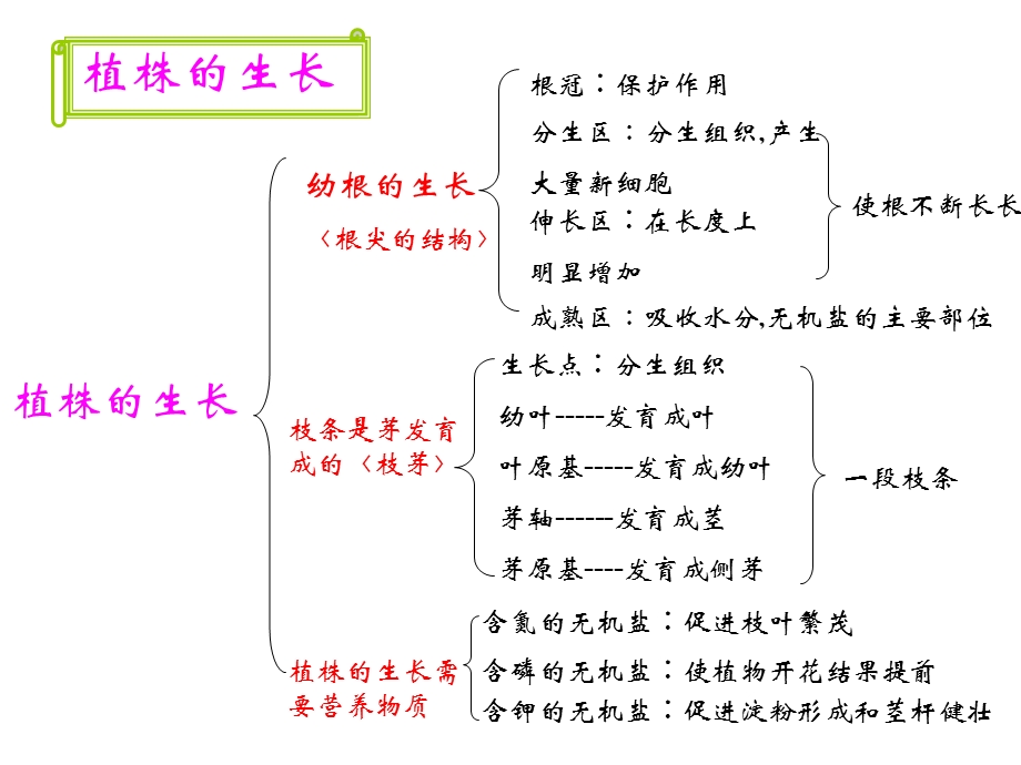 专题五生物圈中的绿色植物二.ppt_第2页