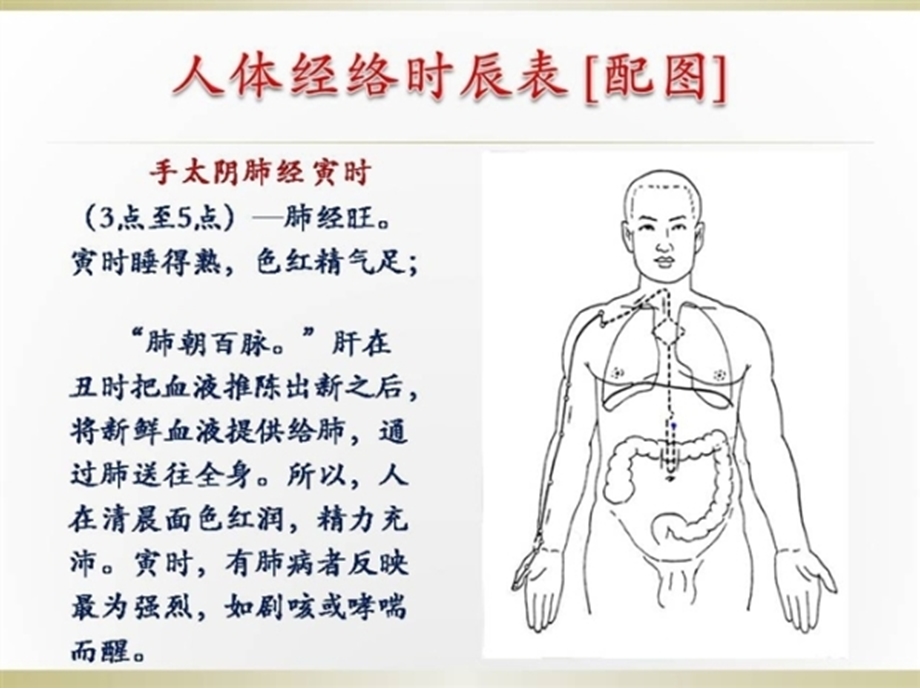 人体经络时辰表(配图)十二经络.ppt_第2页