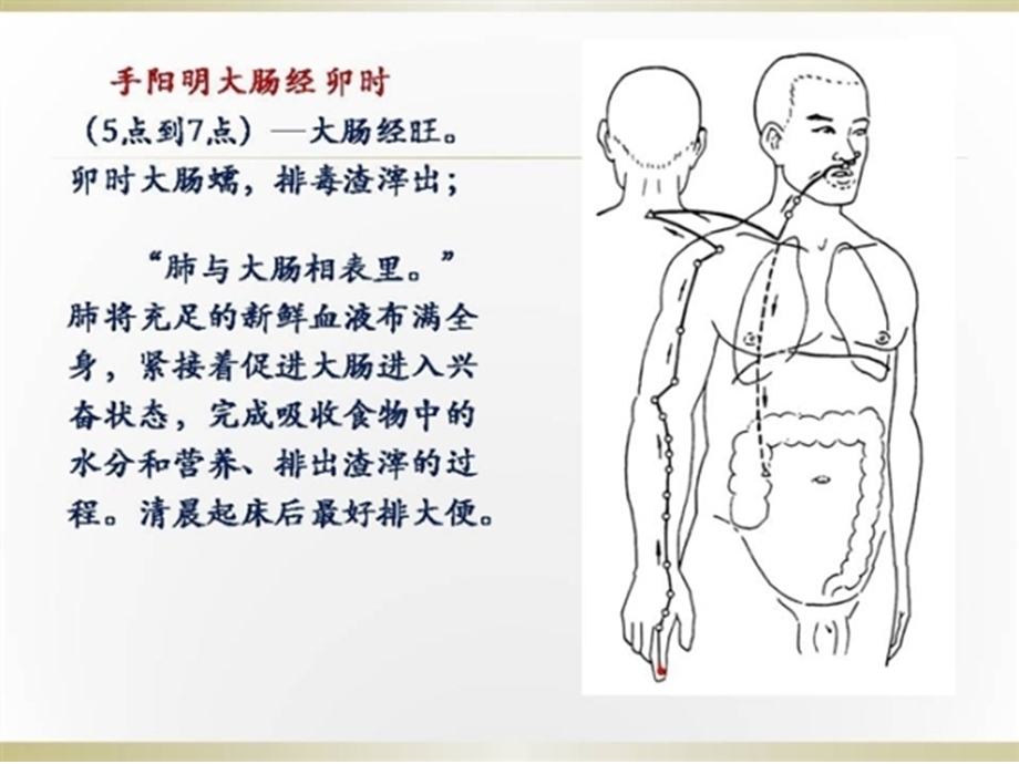 人体经络时辰表(配图)十二经络.ppt_第3页