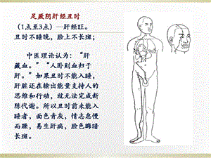 人体经络时辰表(配图)十二经络.ppt