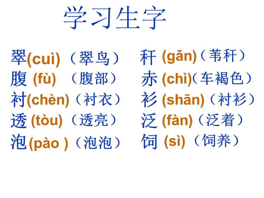 三年级下册语文《翠鸟》.ppt_第2页