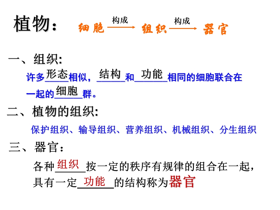 七年级科学生物体的结构层次.ppt_第3页