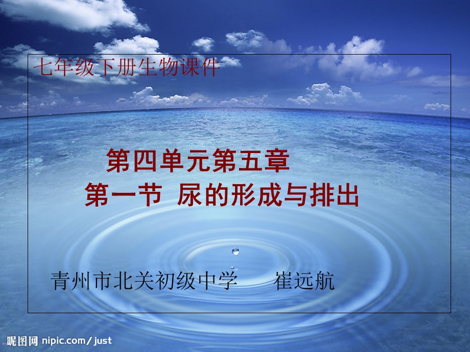 七年级下生物课件尿的形成与排出.ppt_第1页