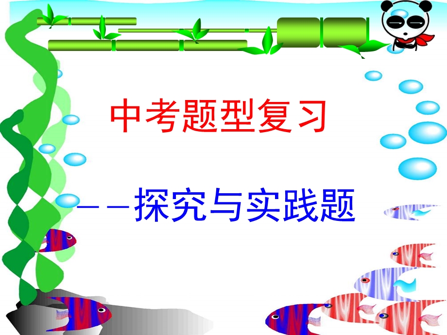 九年级中考题型复习-探究与实践题(课件).ppt_第1页