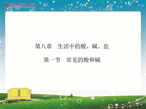 中考化学第一节常见的酸和碱.ppt