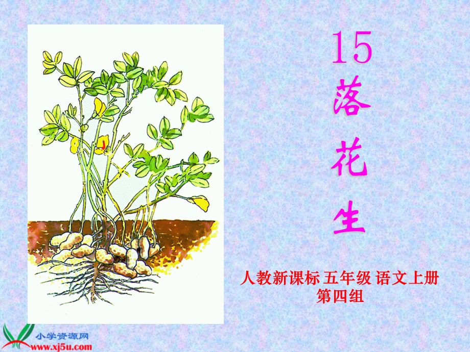 人教新课标五年级语文上册课件落花生.ppt_第1页