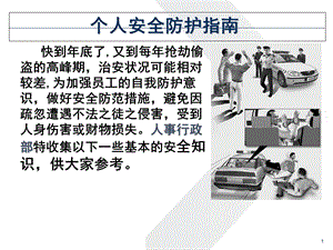 个人安全防护指南(ppt28).ppt