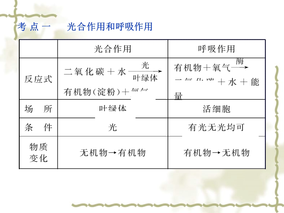 中考生物一轮复习课件：专题绿色植物的新陈代谢.ppt_第2页