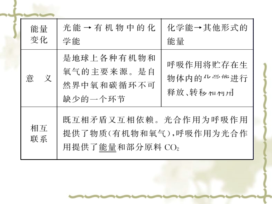 中考生物一轮复习课件：专题绿色植物的新陈代谢.ppt_第3页