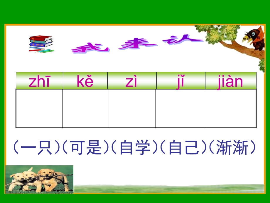 一年级语文小老虎的狗妈妈.ppt_第3页