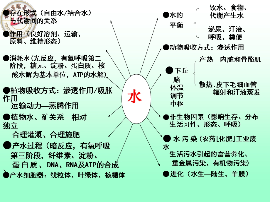 专题复习一物质与细胞结构.ppt_第3页