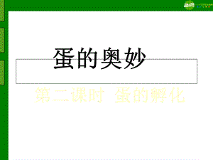 三年级科学下册孵化技术(鸡孵化过程)课件教科版.ppt