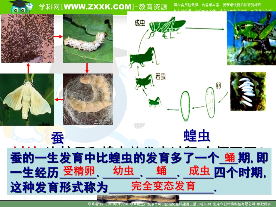 九年级生物动物的生殖和发育-中考复习专题课件.ppt_第2页