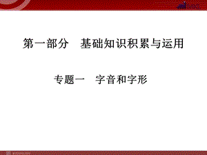 中考语文复习专题1字音和字形课件.ppt