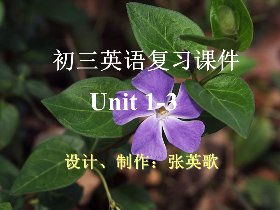 九年级英语下册uint1-3复习.ppt_第1页