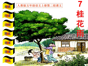 人教版五年级语文上册《桂花雨》庄河市栗子房镇中心小学冯辉.ppt