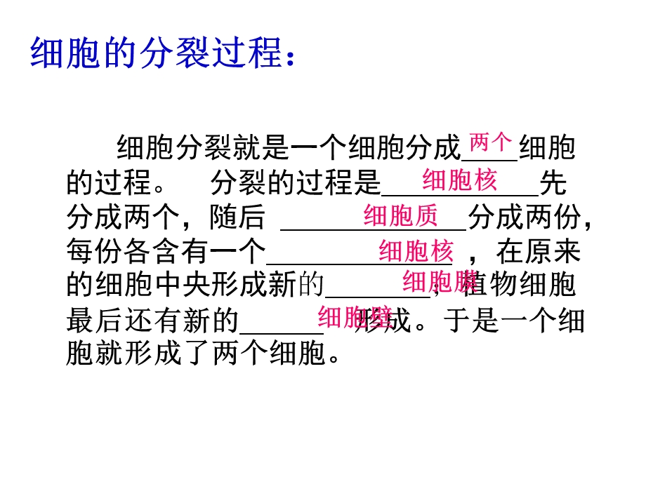 九年级生物体的结构层次复习课.ppt_第2页